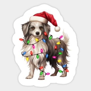 Christmas Chinese Crested Sticker